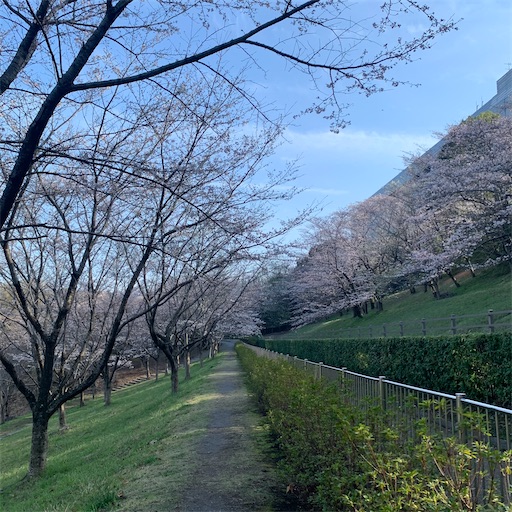 f:id:morinobanana:20210324204856j:image f:id:morinobanana:20210324204856j:image