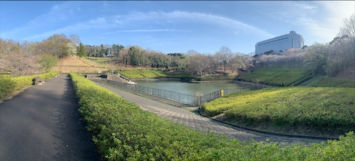 f:id:morinobanana:20210324205420j:image