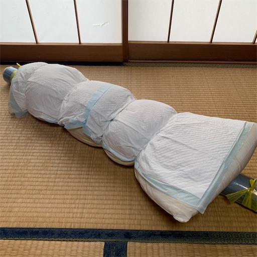 f:id:morinobanana:20210413163334j:image f:id:morinobanana:20210413163334j:image
