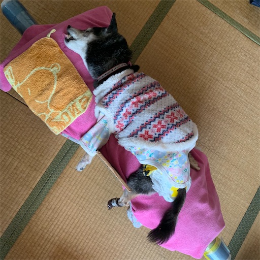 f:id:morinobanana:20210413172317j:image f:id:morinobanana:20210413172317j:image