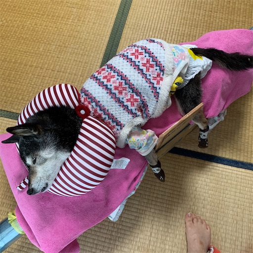 f:id:morinobanana:20210413172525j:image f:id:morinobanana:20210413172525j:image