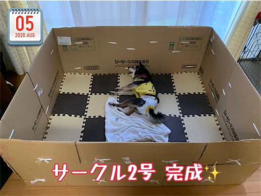 f:id:morinobanana:20210519170646j:image f:id:morinobanana:20210519170646j:image