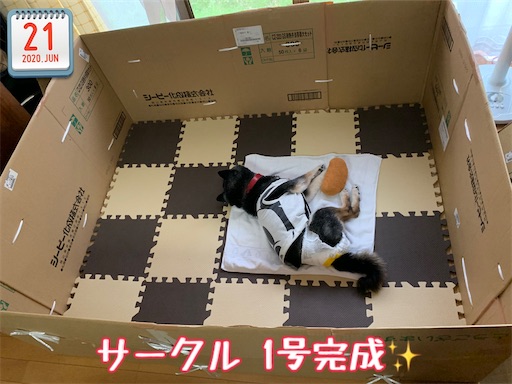 f:id:morinobanana:20210519170648j:image f:id:morinobanana:20210519170648j:image