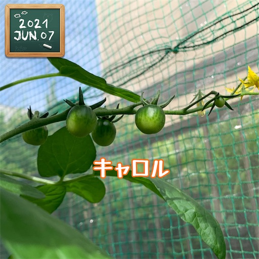 f:id:morinobanana:20210611004008j:image f:id:morinobanana:20210611004008j:image