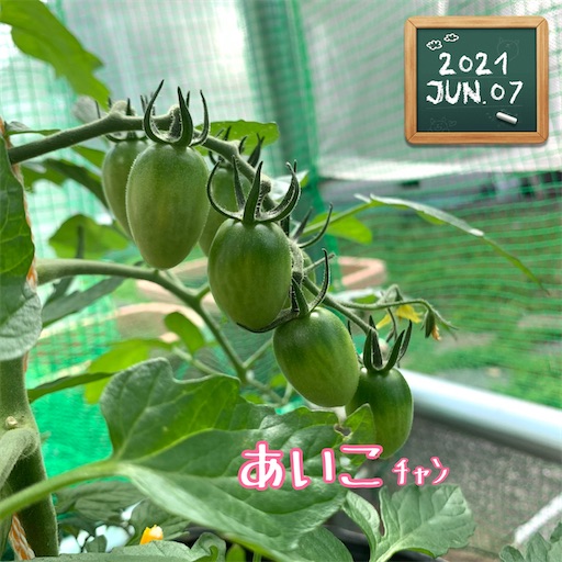f:id:morinobanana:20210611004011j:image f:id:morinobanana:20210611004011j:image
