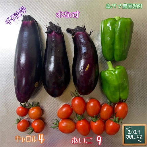 f:id:morinobanana:20210703174309j:image f:id:morinobanana:20210703174309j:image