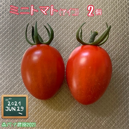 f:id:morinobanana:20210703174312j:image f:id:morinobanana:20210703174312j:image