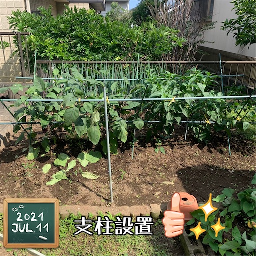 f:id:morinobanana:20210716163339j:image f:id:morinobanana:20210716163339j:image