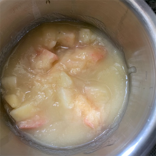 f:id:morinobanana:20210728150203j:image f:id:morinobanana:20210728150203j:image