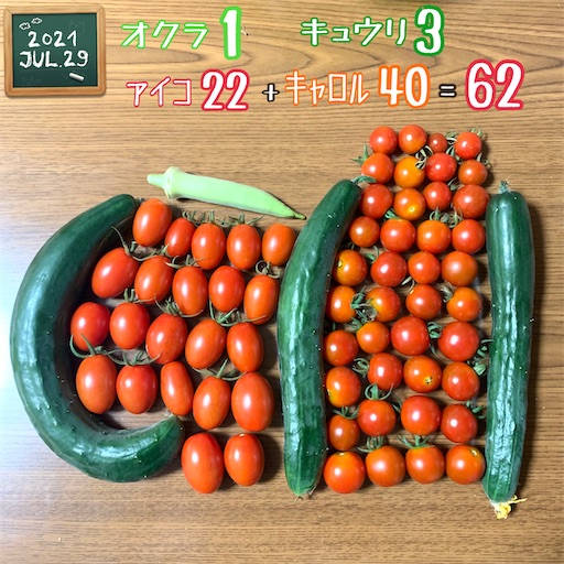 f:id:morinobanana:20210730001539j:image f:id:morinobanana:20210730001539j:image