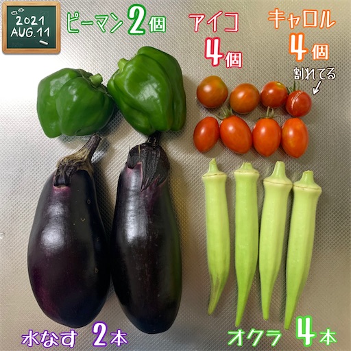f:id:morinobanana:20210812195504j:image f:id:morinobanana:20210812195504j:image