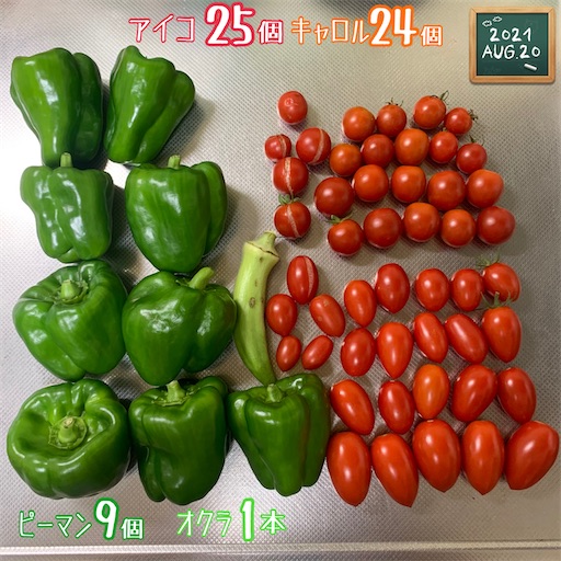 f:id:morinobanana:20210822172438j:image f:id:morinobanana:20210822172438j:image