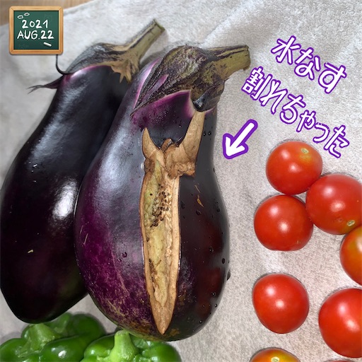 f:id:morinobanana:20210822172505j:image f:id:morinobanana:20210822172505j:image