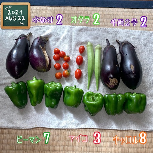 f:id:morinobanana:20210822172508j:image f:id:morinobanana:20210822172508j:image