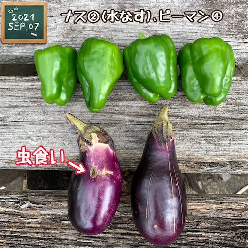 f:id:morinobanana:20210909173208j:image f:id:morinobanana:20210909173208j:image