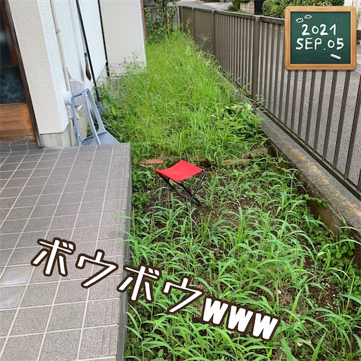 f:id:morinobanana:20210909222549j:image f:id:morinobanana:20210909222549j:image