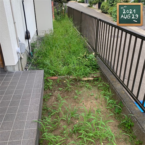 f:id:morinobanana:20210909222551j:image f:id:morinobanana:20210909222551j:image