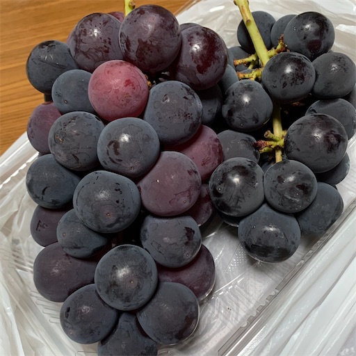 f:id:morinobanana:20210912145341j:image f:id:morinobanana:20210912145341j:image