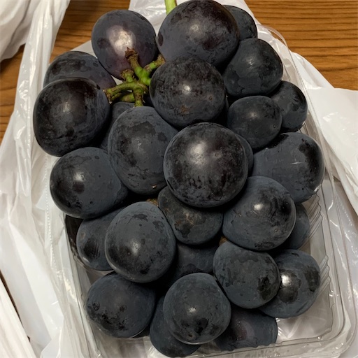 f:id:morinobanana:20210912145343j:image f:id:morinobanana:20210912145343j:image