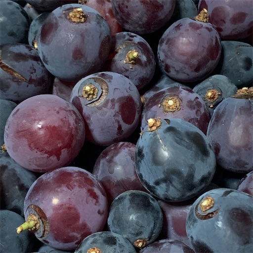 f:id:morinobanana:20210919151228j:image f:id:morinobanana:20210919151228j:image