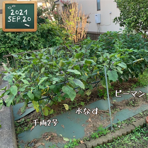 f:id:morinobanana:20210930171250j:image f:id:morinobanana:20210930171250j:image