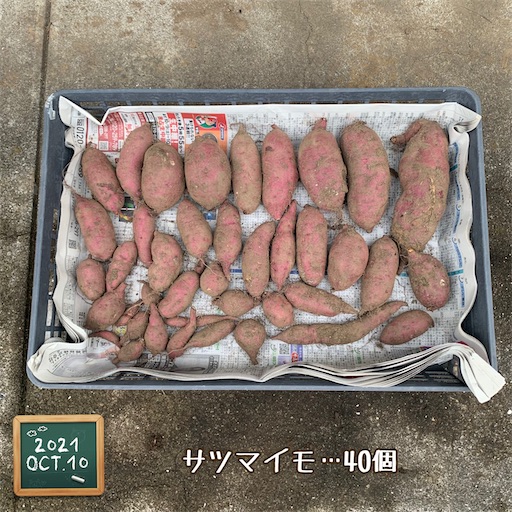 f:id:morinobanana:20211017181610j:image f:id:morinobanana:20211017181610j:image
