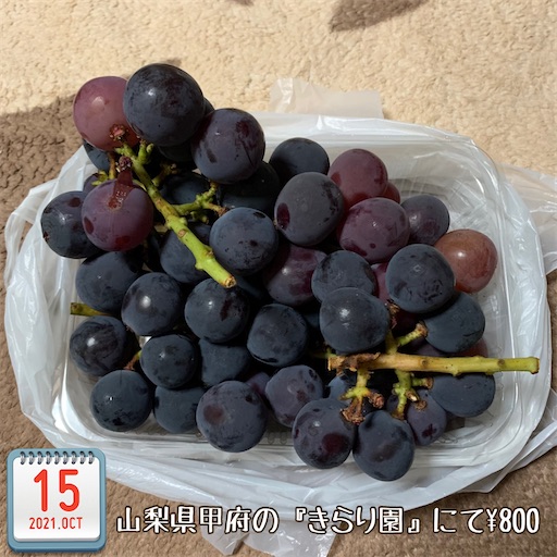 f:id:morinobanana:20211017181612j:image f:id:morinobanana:20211017181612j:image