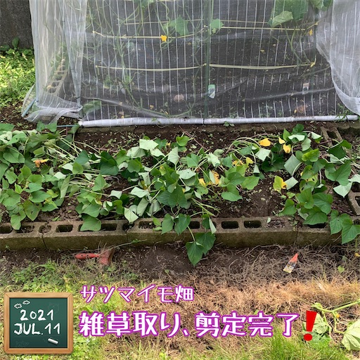 f:id:morinobanana:20211022153122j:image f:id:morinobanana:20211022153122j:image