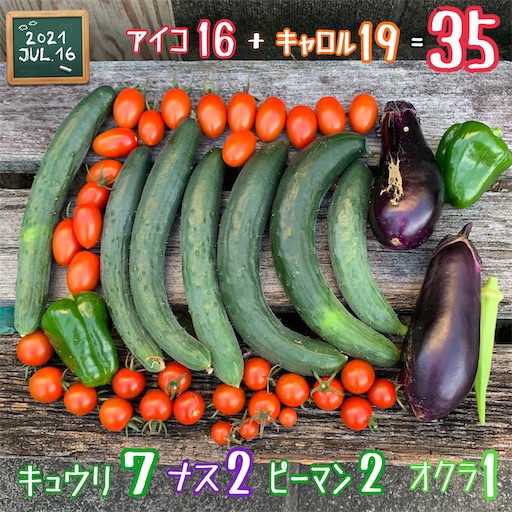 f:id:morinobanana:20211022160050j:image f:id:morinobanana:20211022160050j:image