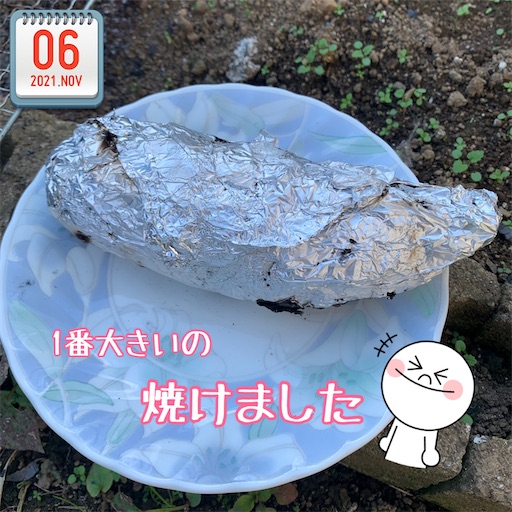 f:id:morinobanana:20211113152653j:image f:id:morinobanana:20211113152653j:image