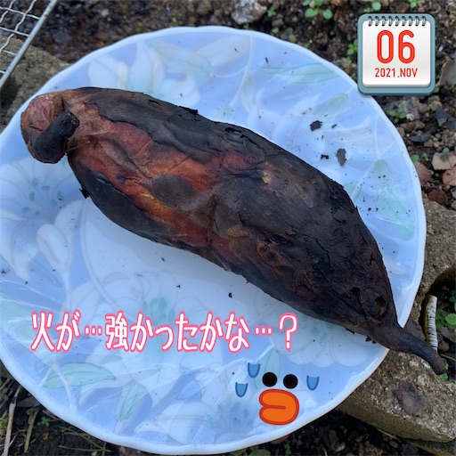 f:id:morinobanana:20211113152656j:image f:id:morinobanana:20211113152656j:image