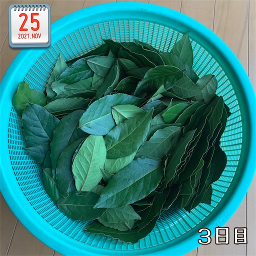 f:id:morinobanana:20211125150408j:image f:id:morinobanana:20211125150408j:image