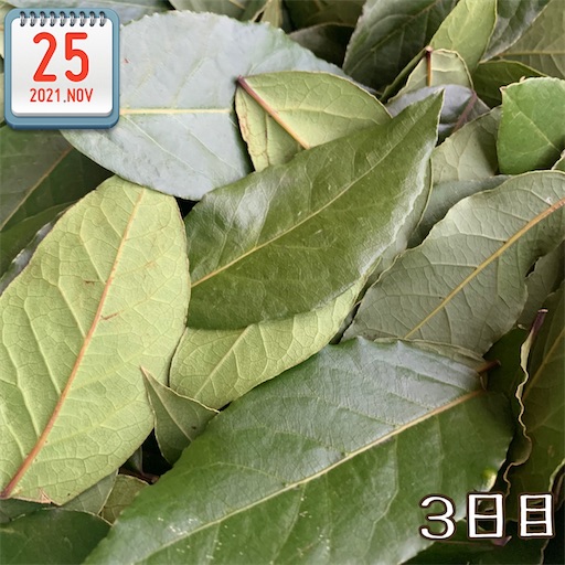 f:id:morinobanana:20211125150410j:image f:id:morinobanana:20211125150410j:image