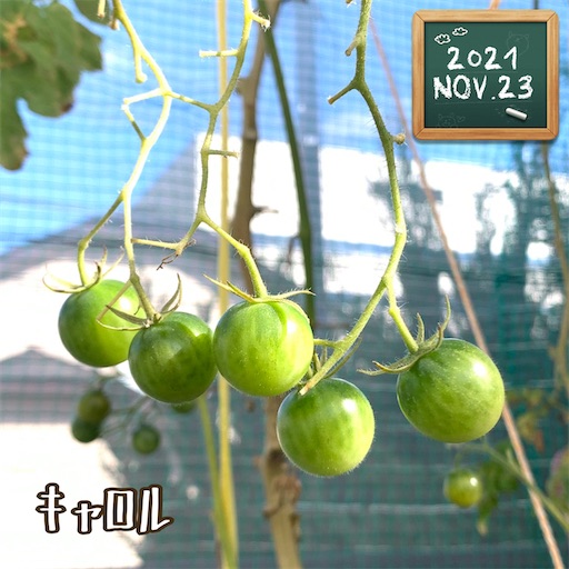 f:id:morinobanana:20211208132934j:image f:id:morinobanana:20211208132934j:image