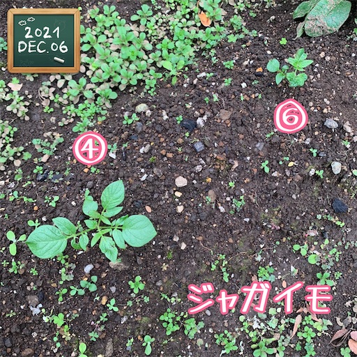 f:id:morinobanana:20211208140043j:image f:id:morinobanana:20211208140043j:image