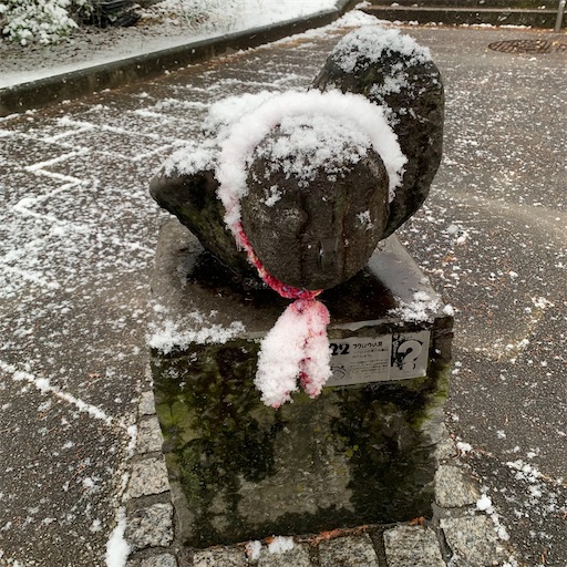 f:id:morinobanana:20220107095946j:image f:id:morinobanana:20220107095946j:image