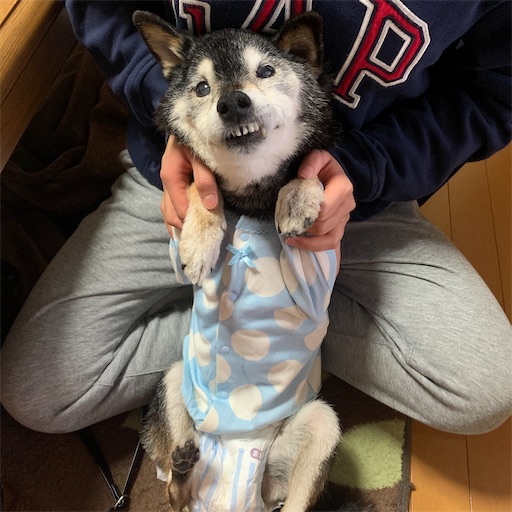 f:id:morinobanana:20220117172450j:image f:id:morinobanana:20220117172450j:image