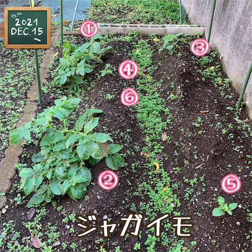f:id:morinobanana:20220129165815j:image f:id:morinobanana:20220129165815j:image