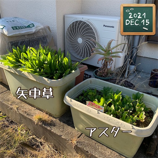 f:id:morinobanana:20220129165846j:image f:id:morinobanana:20220129165846j:image