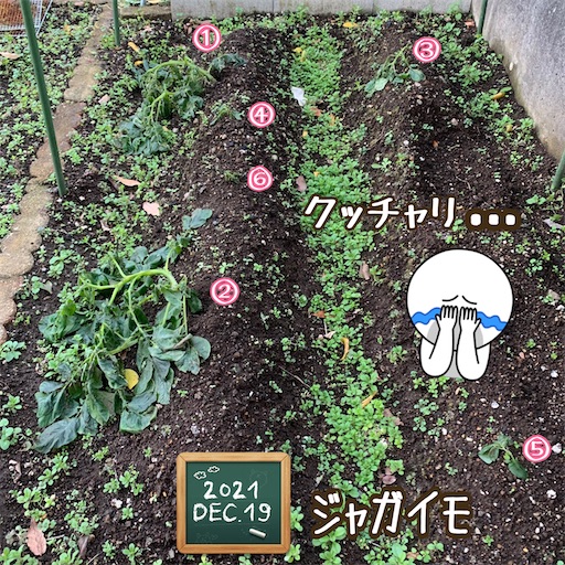 f:id:morinobanana:20220129233150j:image f:id:morinobanana:20220129233150j:image