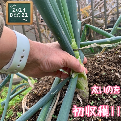 f:id:morinobanana:20220129235644j:image f:id:morinobanana:20220129235644j:image