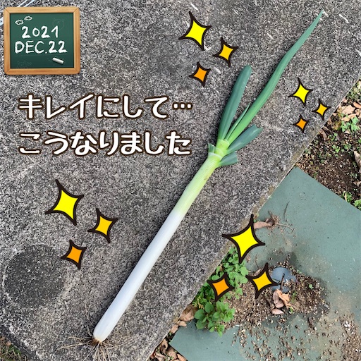 f:id:morinobanana:20220129235700j:image f:id:morinobanana:20220129235700j:image