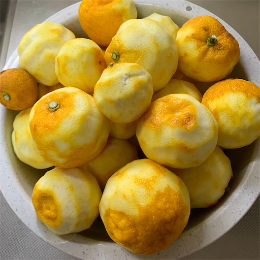 f:id:morinobanana:20220207165921j:image f:id:morinobanana:20220207165921j:image