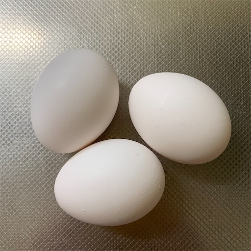 f:id:morinobanana:20220214075547j:image f:id:morinobanana:20220214075547j:image