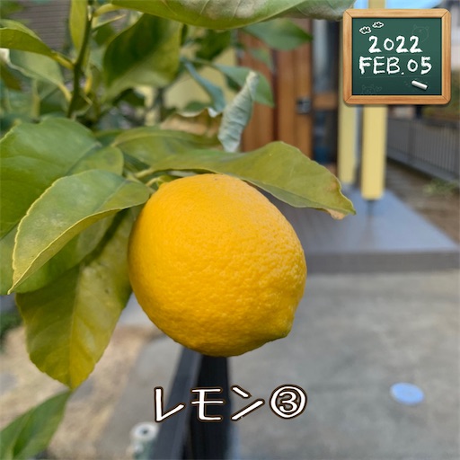 f:id:morinobanana:20220221161236j:image f:id:morinobanana:20220221161236j:image