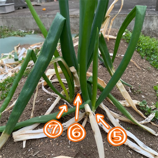f:id:morinobanana:20220310154507j:image f:id:morinobanana:20220310154507j:image