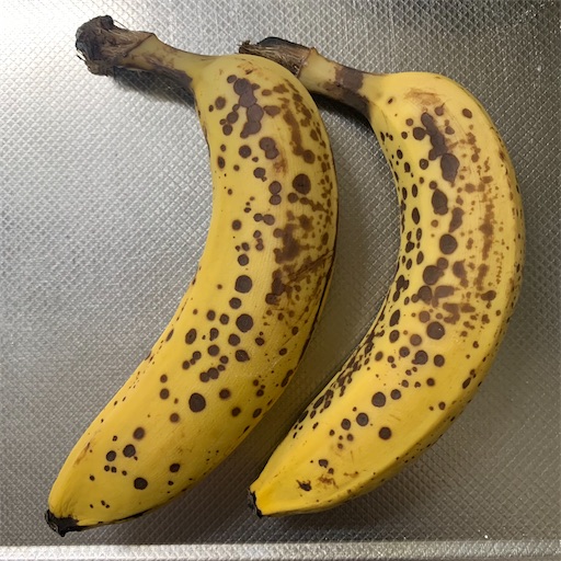 f:id:morinobanana:20220324135636j:image f:id:morinobanana:20220324135636j:image