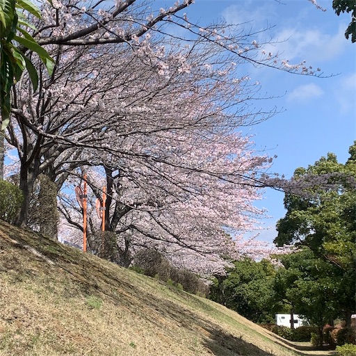 f:id:morinobanana:20220402100834j:image f:id:morinobanana:20220402100834j:image