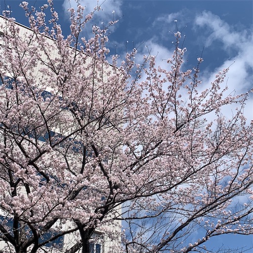 f:id:morinobanana:20220402100838j:image f:id:morinobanana:20220402100838j:image