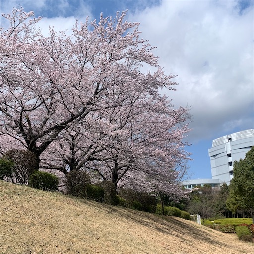 f:id:morinobanana:20220402100900j:image f:id:morinobanana:20220402100900j:image
